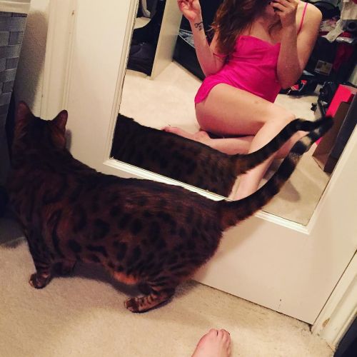 Porn Pics My kitty wanted to get in on my selfie time.