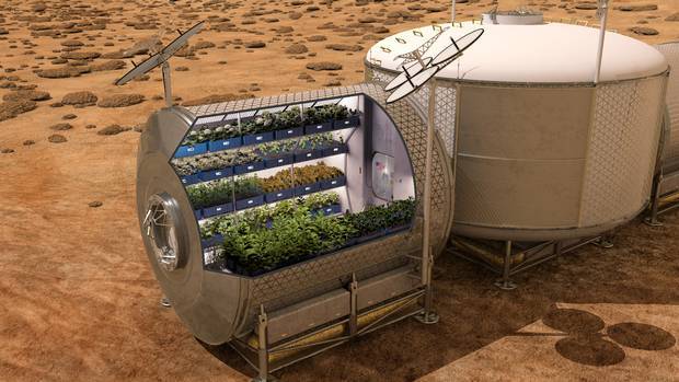 agritecture:  NASA astronauts set to feast on space-grown vegetables for the first