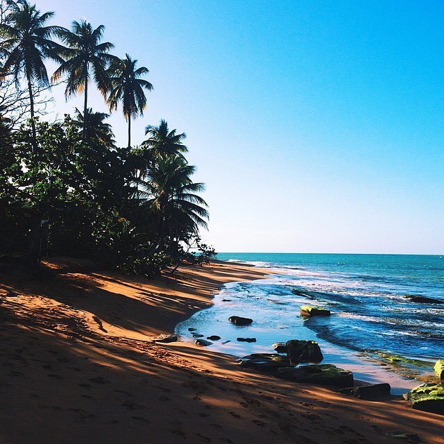 Tropical