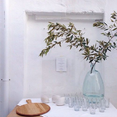 SheisVisual - Aesthetics | Inspiration