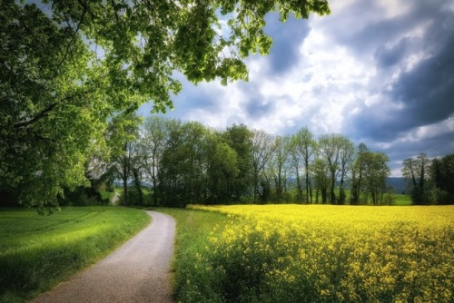 Photographer Irca Caplikas (Switzerland)  500px  Facebook  Instagram  National Geographic   ViewBug 