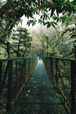 ne0nicecream:  Hanging Bridges Selvatura Park, CR