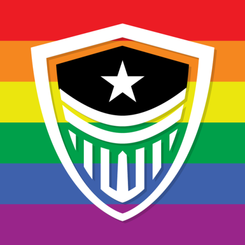 overwatchleaguepride:OWL Pride Icons!In honor of pride month: every single OWL team as a solid backg