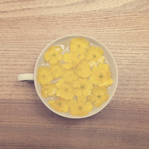 A cup of yellow happiness by Morphicx on Flickr.