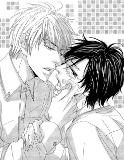 yaoifunlife:    Daikirai!! Demo Honto wa