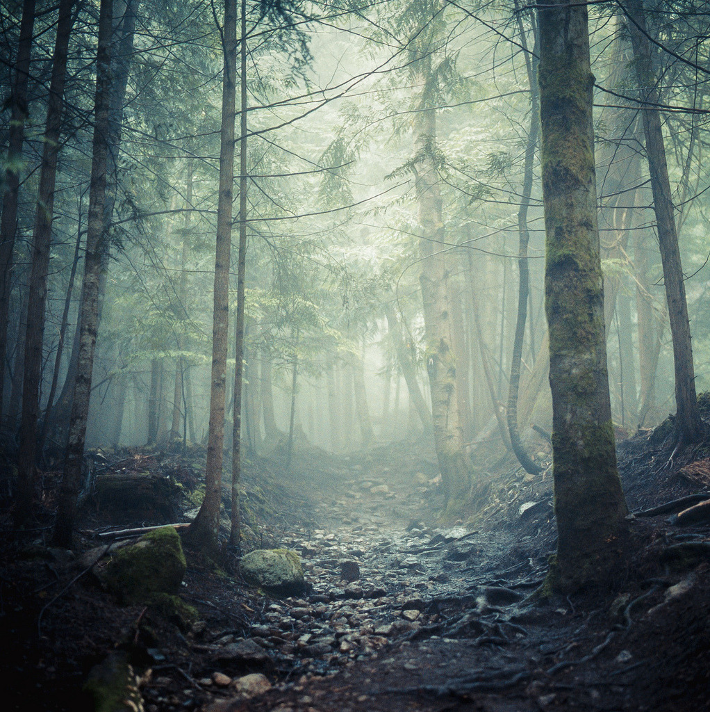 brutalgeneration:  mysticism (by Andy Grellmann) 