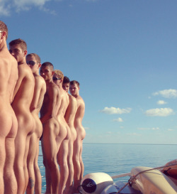 aussielicious:  Buffet of butt.