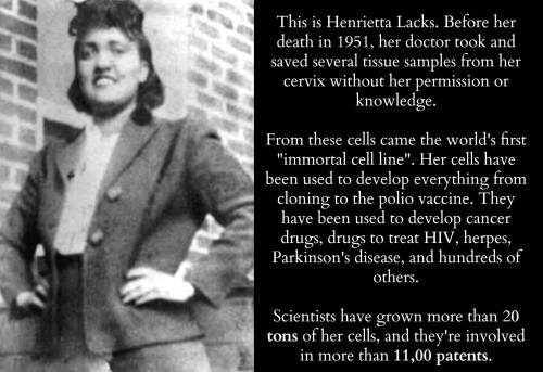 blackchildrensbooksandauthors:Born on this day…  August 1, 1920 Henrietta Lacks Henrietta Lacks…died of cervical cancer on October 4, 1951, at age 31. Cells taken from her body without her knowledge were used to form the HeLa cell line, which has