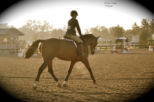 ©Tiana.Chapman Photography HITS Ocala 2013