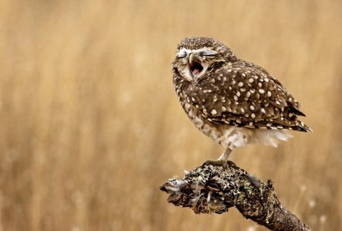 nprfreshair:Photo by Mario Gustavo Fiorucci (Santa Rosa, La Pampa, Argentina Santa Rosa, La Pampa, A