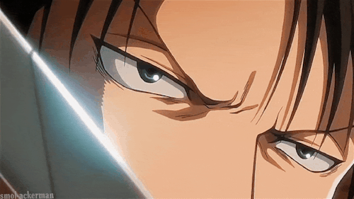 Levi's Eyes' Appreciation Post: