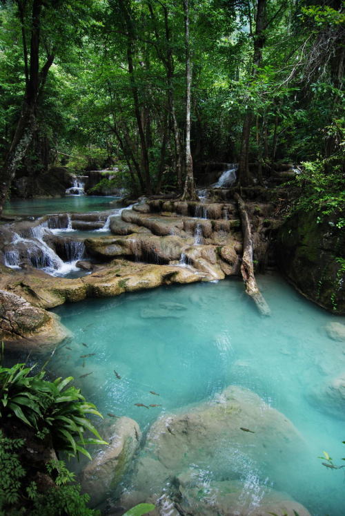 opticallyaroused: Erawan National Park, Erawan Falls, Thailand