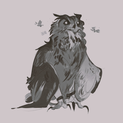 owlbabeart:A little late to Superb Owl sunday, but please enjoy this grumpy old soul.