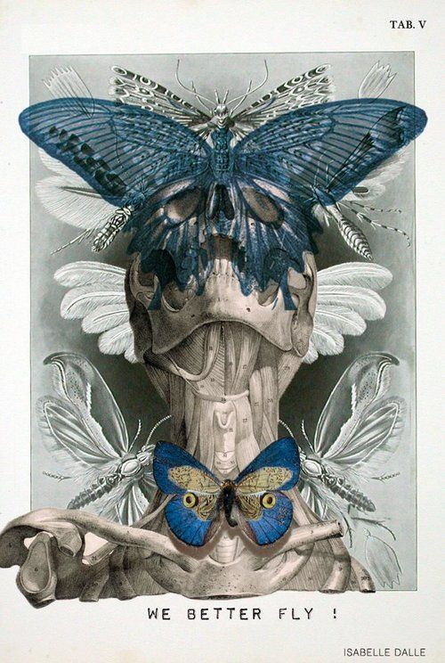 thegentlemanwitch:The Artistic Allure Of The Human Skull