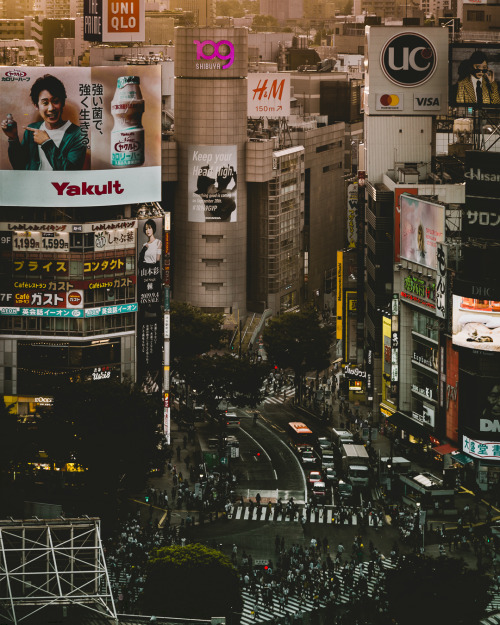 Dusk Colored Shibuya _______________LocationShibuya Scramble Crossing seen from Hikarie Sky Lobby, T