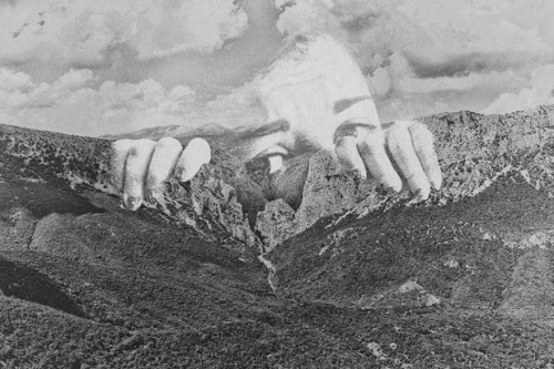 nevver:  Landscape suicide, Sumyko