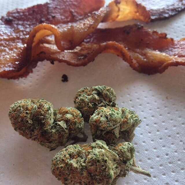 Bacon &amp; Budz