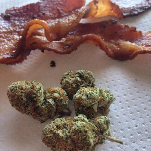 Bacon & Budz