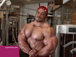 BIG MUSCLE GODS