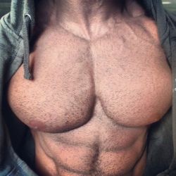 puphawaii:  musclebear30:    musclebear30: a perfect chest grrrrrrrr follow me on http://musclebear30.tumblr.com/archive #gay #sex #hard #cock #admiration #hard #muscledad #musclemen      nursing nipples
