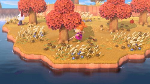 bidoofcrossing:Animal Crossing: New Horizons - PR Images