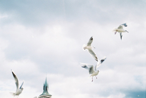 sunshine-on-earth:  http://weheartit.com/entry/52273688 