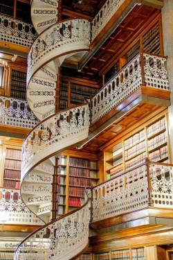 changree:Law Library, Des Moines, Iowa Photo by Cynthia Vanessa