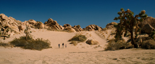 madeofcelluloid:  &lsquo;Wish I Was Here&rsquo;, Zach Braff (2014)— I’m glad to 