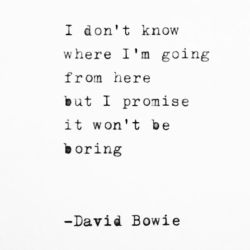 #Bowie 💔 by lydiaemillen