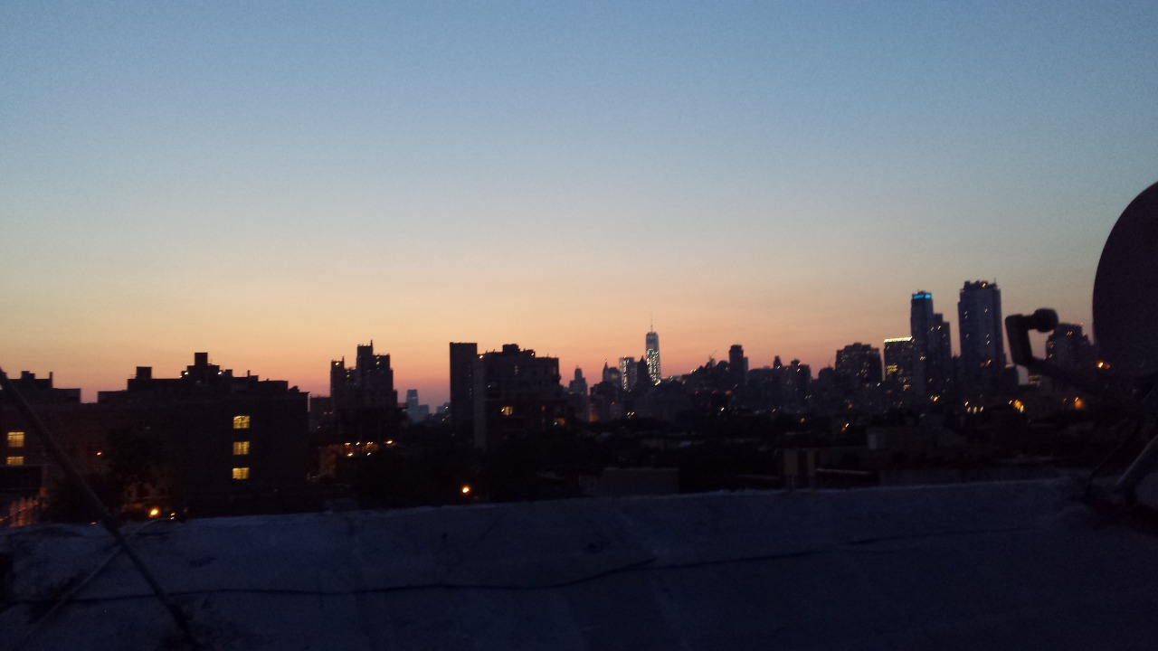 annimouse:  Goodbye sun…hello city lights. 
