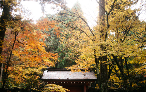 lifeinkyoto:Might as well get lost — Sanzen-in