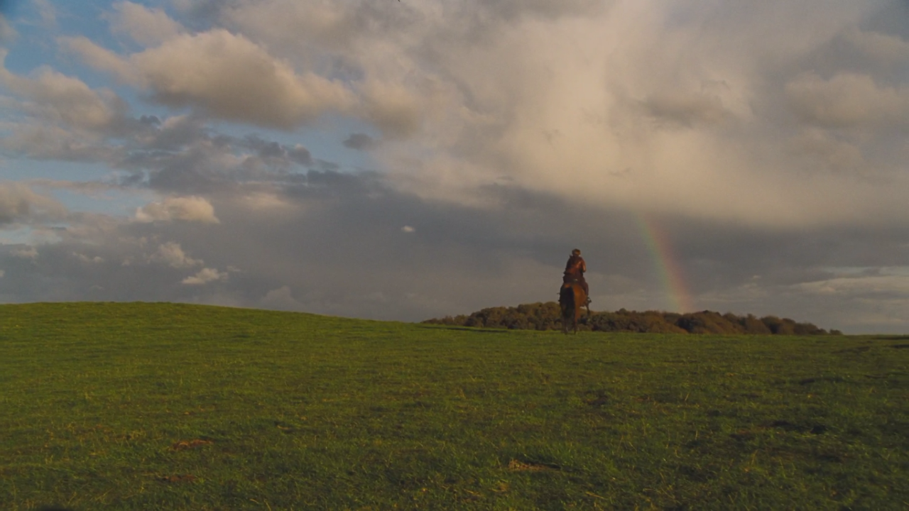 salesonfilm:  Far From the Madding Crowd (Thomas Vinterberg, 2015)