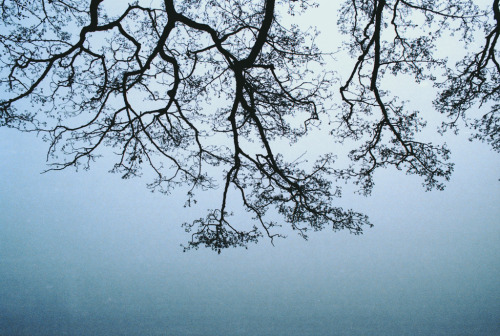 epiphanai:  untitled (by Esben Bøg)