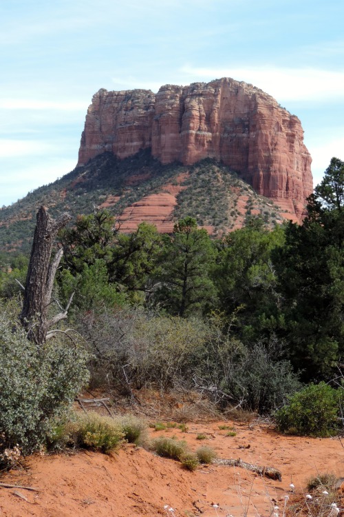 Three views of Red Rocks Near Sedona, Arizona, March 2014.
