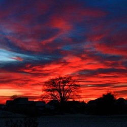 Sunset in my backyard