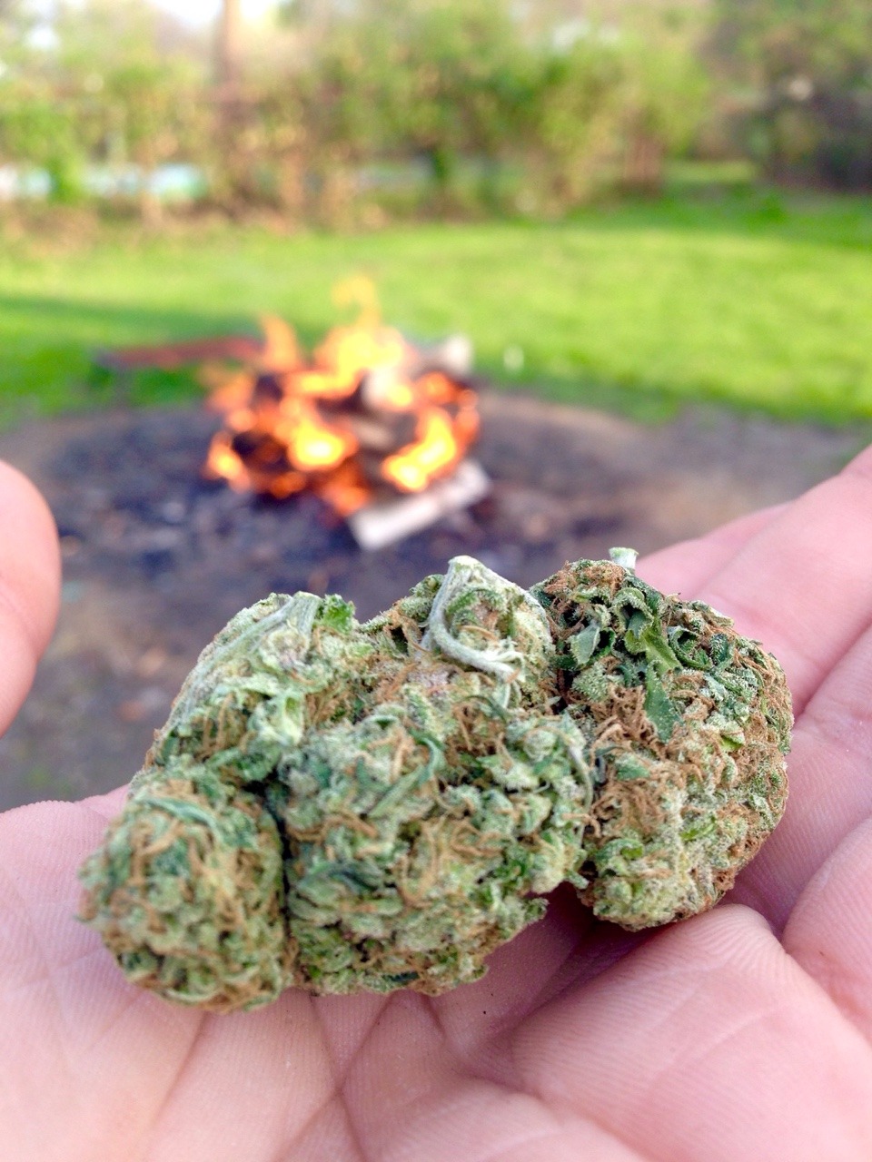 gamblingisfun:  🔥🔥🔥