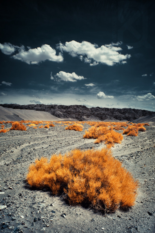 Gob’IR by David Keochkerian.