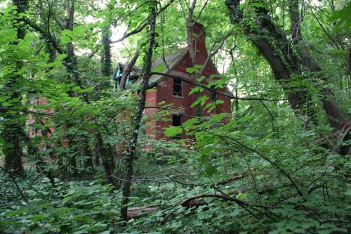 meadownymph: Abandoned Island in the Middle of NYC