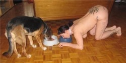 subtrainer:  cuntbusted:puppy-girls:Equals?   Our dog’s a male so no  Place.