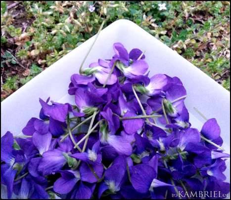 Mmmm, cake! I wanted to make a cake inspired by Spring’s ethereal purple blossoms and made thi