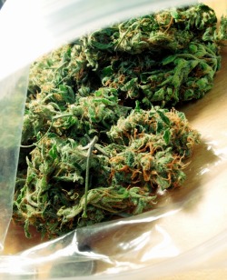 Light up & toke away
