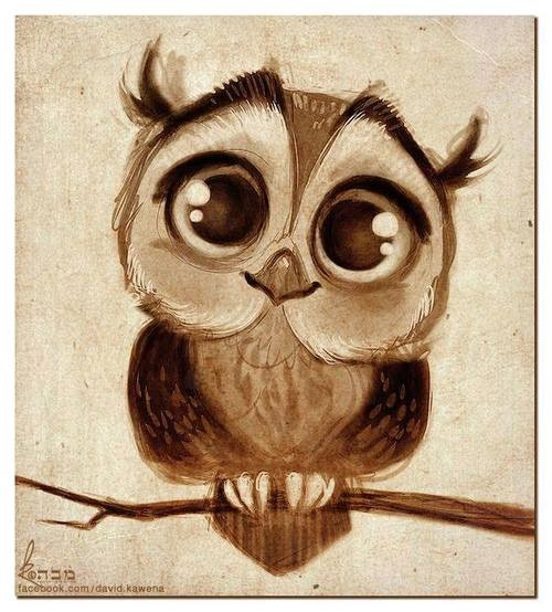 owlsstuff:More irresistible owls here: http://ift.tt/JQ5da3 Photo source (http://ift.tt/1gd1aDX)