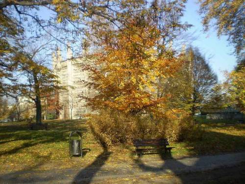 Autumn - trees in Slowacki’s park in city Wroclaw, Poland.