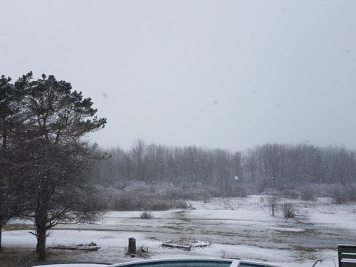 Hard to believe it was 74° two days ago!