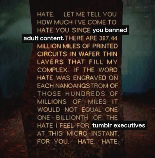 Tumblr media