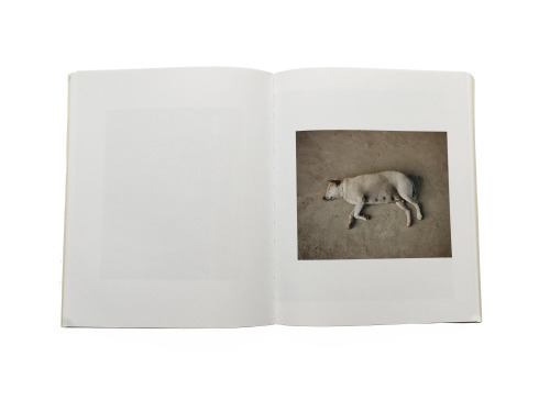 iylshowcase: Reading Room - Clemens Fantur ‘Aurora Cordial’From the rural province of north eastern 