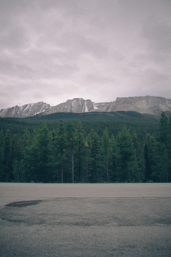 captivesouls:  Nature