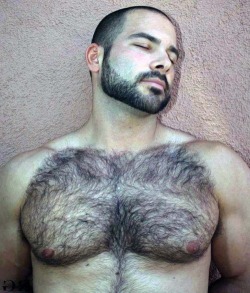 hairy-arab-males:  All arab male beauty are