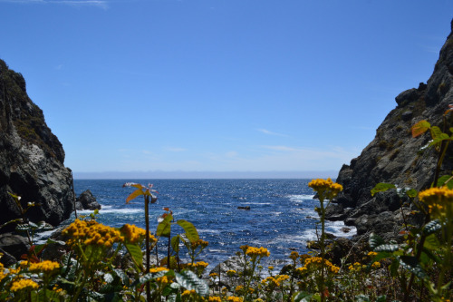 The first two days at Big Sur have been amazing. The morning fog washed away by the afternoon and Je