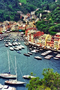  | ♕ |  Portofino harbour, Italian Riviera 